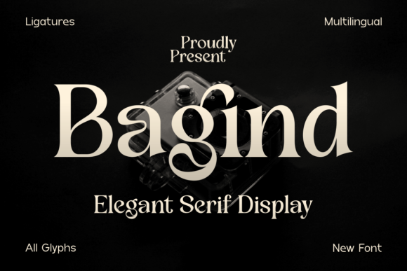 Bagind: A Stylish Serif Font for Professional Web Design