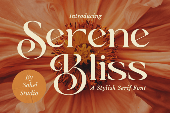 Choosing Serene Bliss: A Web Designer’s Font Journey