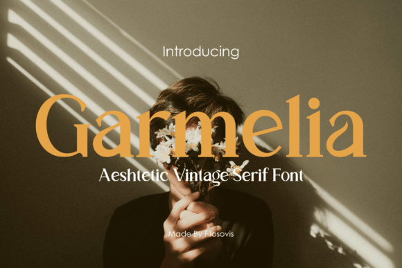 Garmelia Font: A Playful Serif for Your Brand