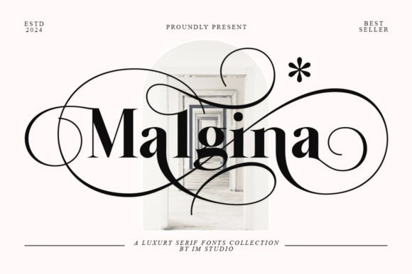 How Malgina Font Elevates Your Brand's Professional Look