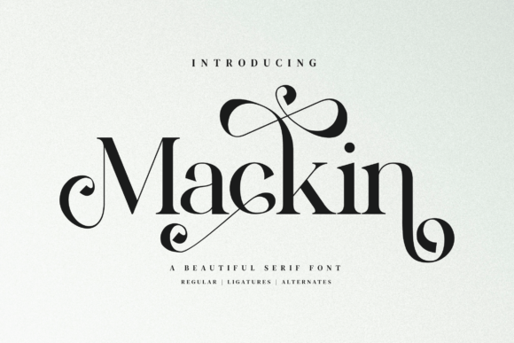 Mackin: A Stylish Serif Font for Modern Web Design