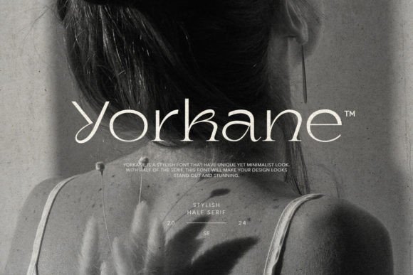 Yorkane Font Review: A Minimalist Serif with a Bold Personality